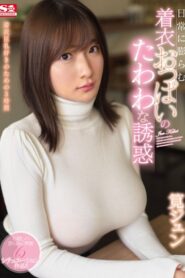 SSNI-762 Imajinasi Liar Melihat Toket Gede – Jun Kakei